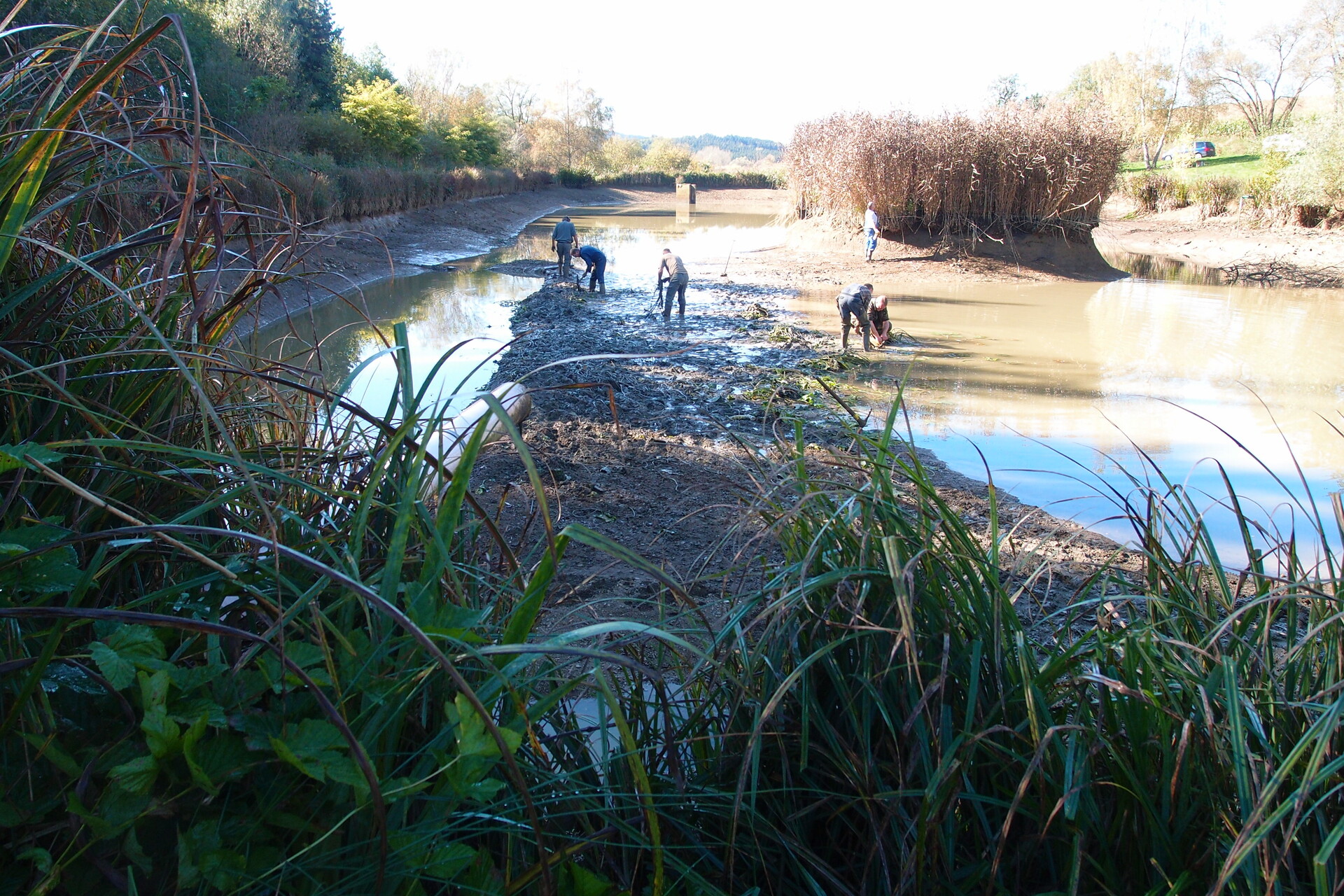 Galeriebild: PA183135